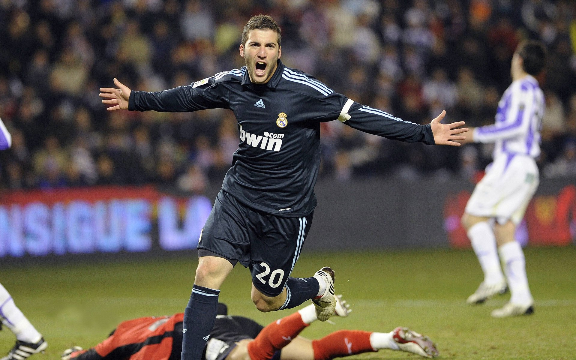 极光探险跑：追随极光的运动盛宴，极光寻宝